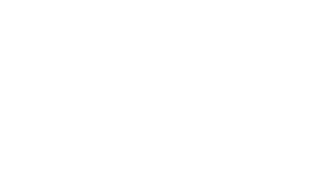 LOGO DE ORIGEM BRANCA